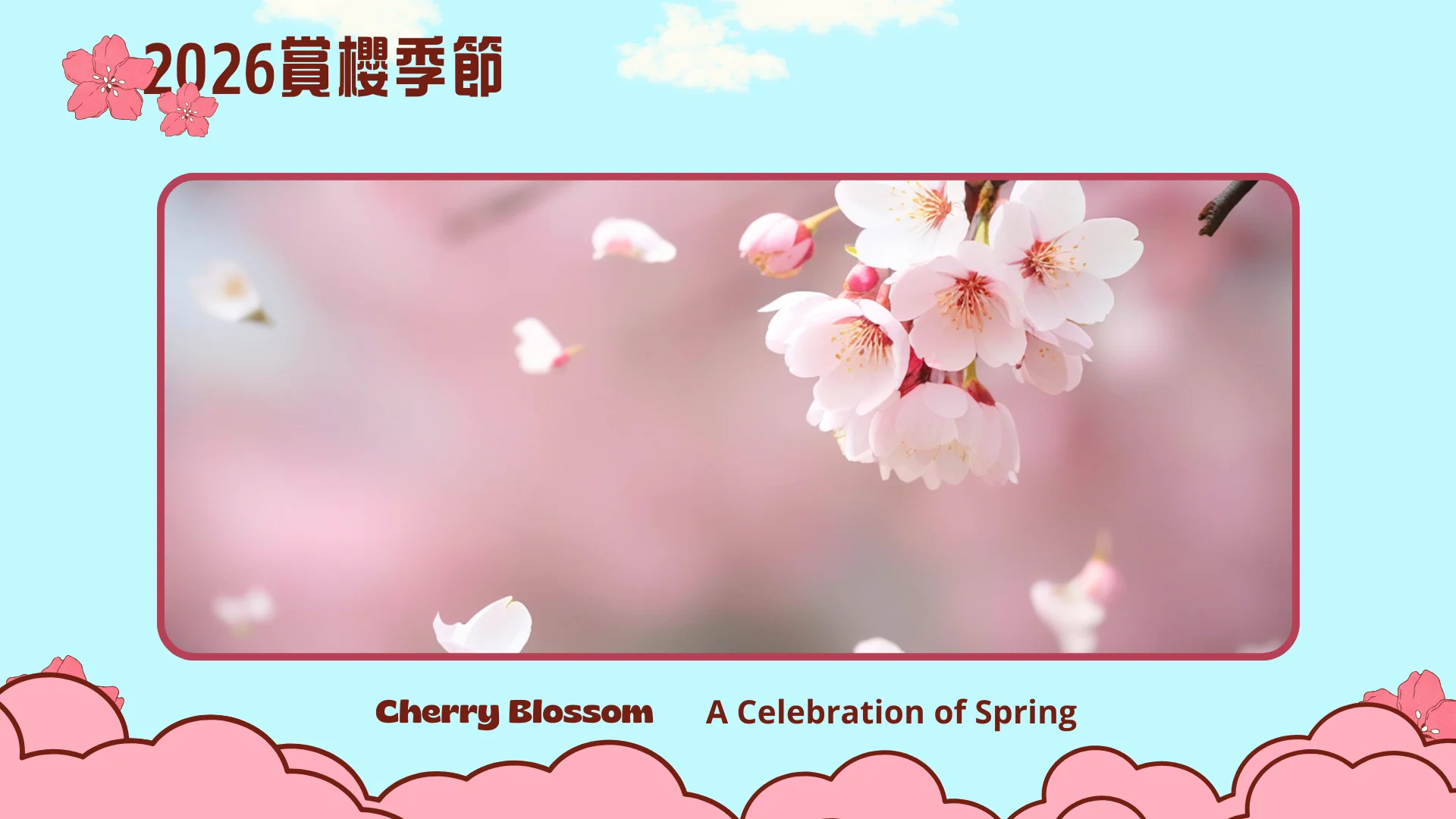 2026_cherry_blossom_season_Toronto_peak_bloom_photo_02