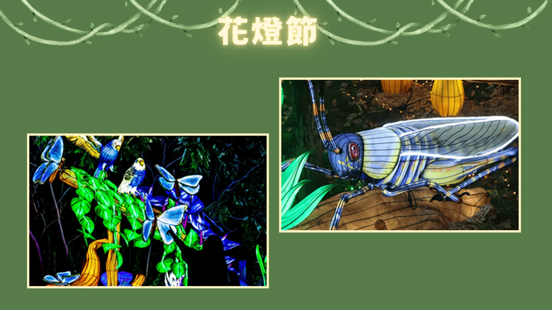 Glow_in_the_Wild_by_Toronto_zoo_&_CCC_display_lantern_insects