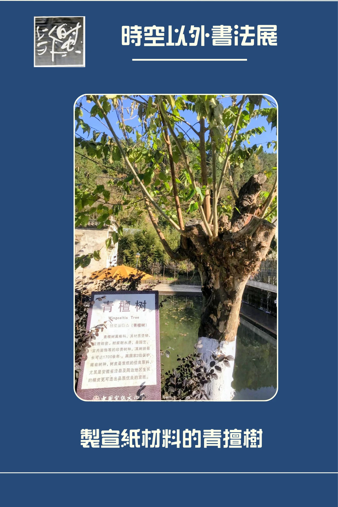 Katherina_Kwan_Beyond_Space_&_Time_exhibition_2025_at_China_Blue_Sandalwood