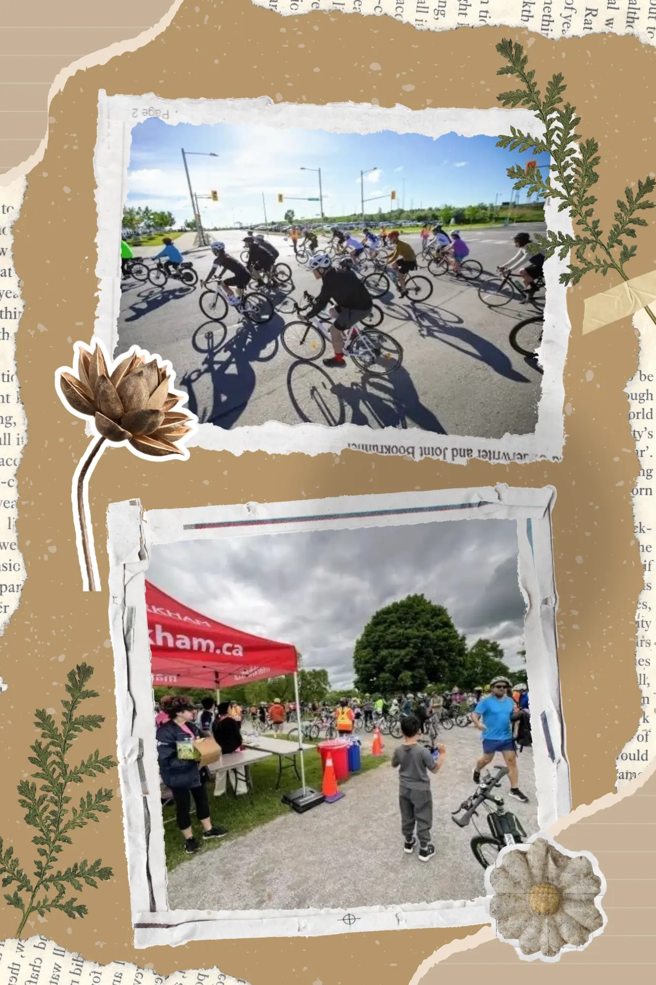 Markham_Cycling_Day_2025_event_content_cycling_&_free_entertainment