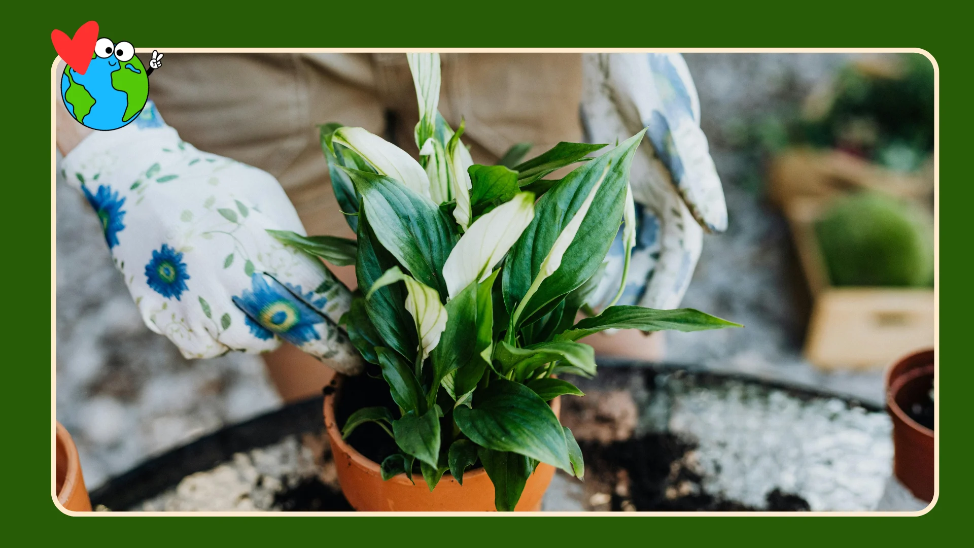 Free_compost_event_2026_planting_03
