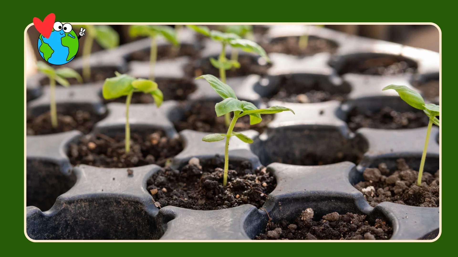 Free_compost_event_2026_planting_02