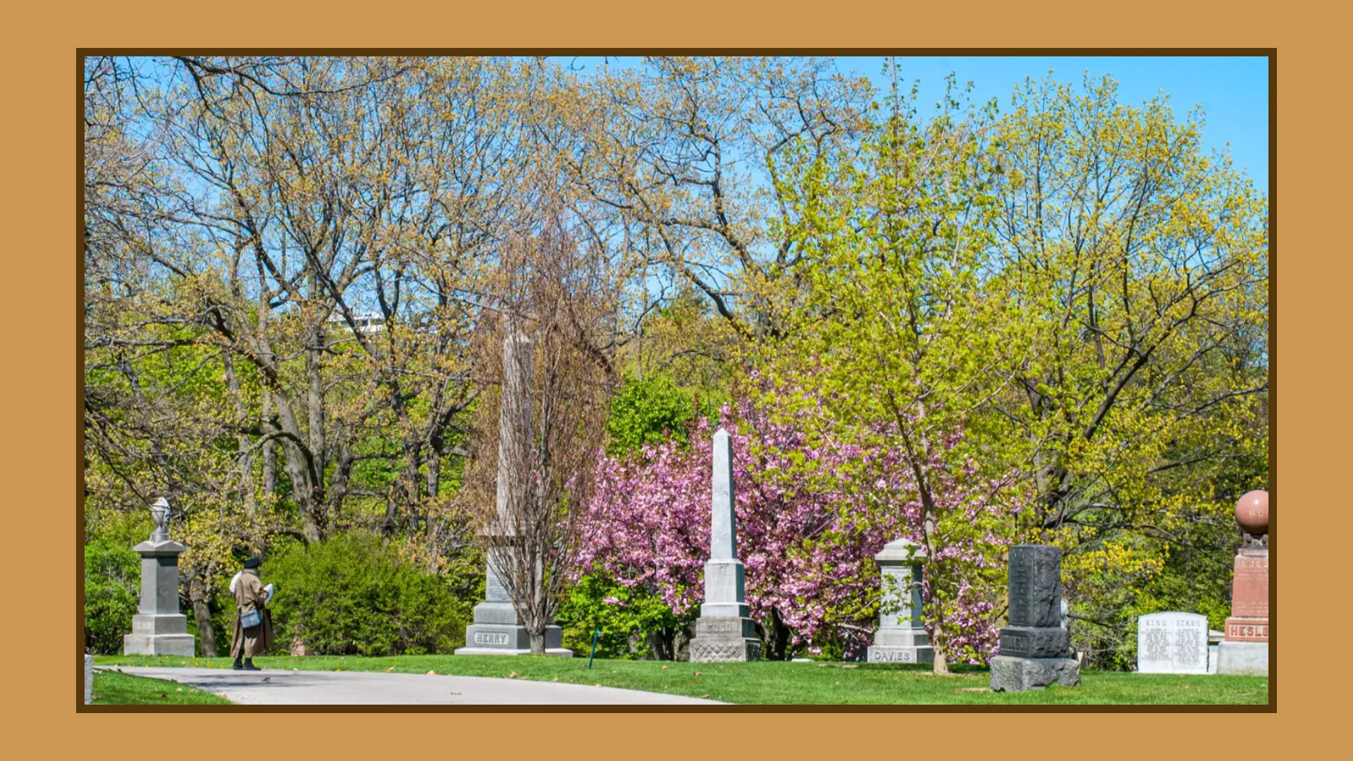 Royal_Ontario_Museum_ROMWalks_2025_MT._pleasant