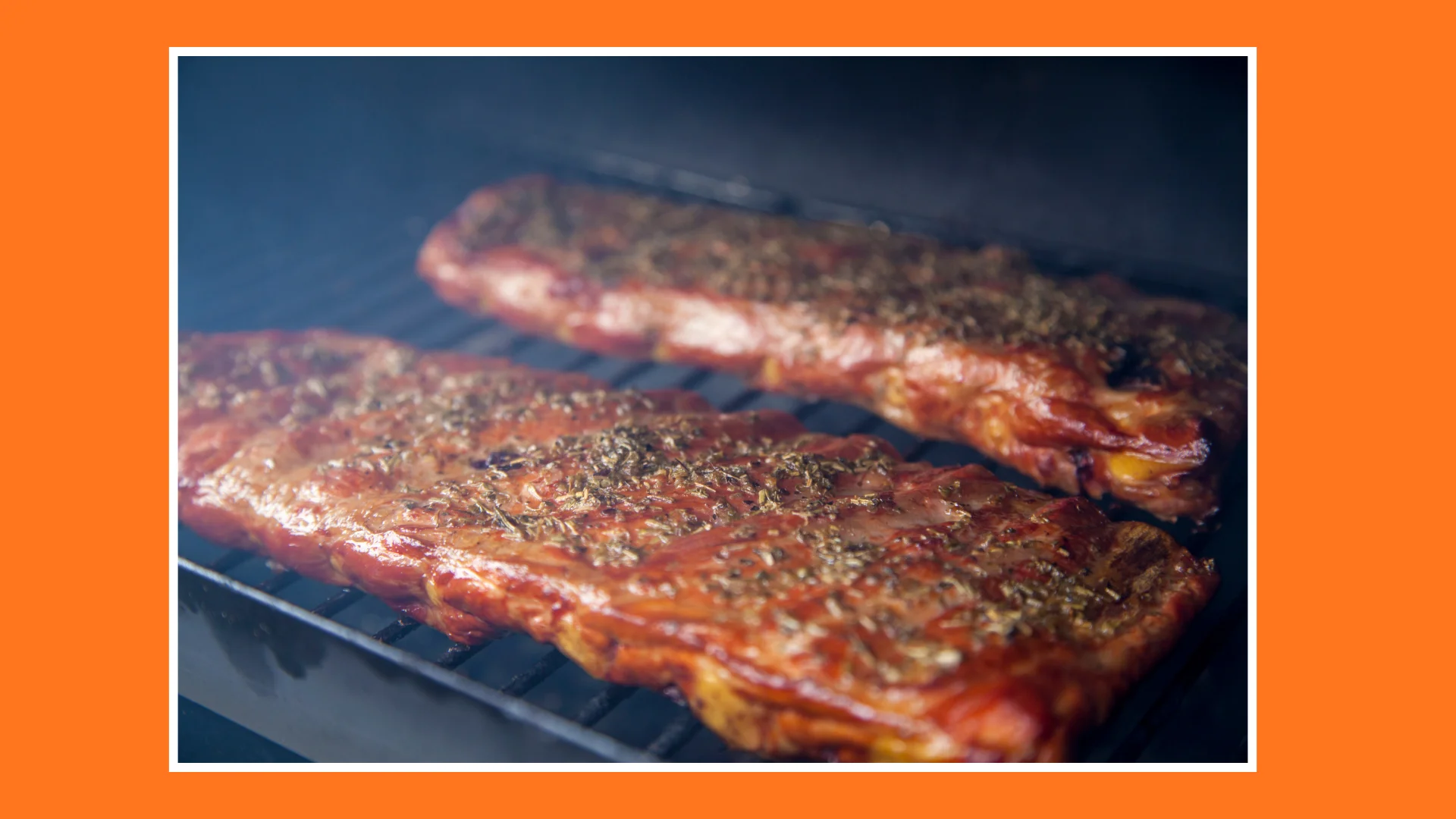 Weekend_Fun_#7_Downtown_Toronto_RIBFEST_2026_ribs