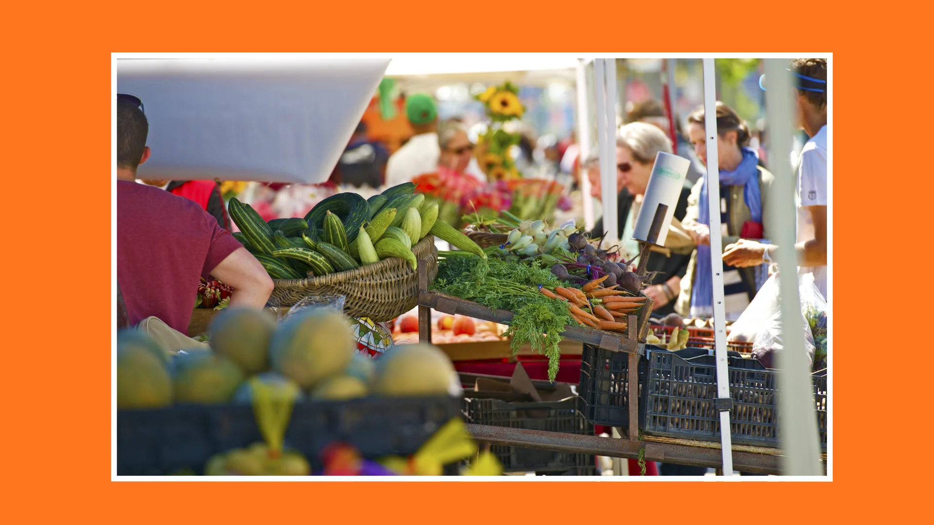 Weekend_Fun_#7_Georgina_Farmers_Market_02