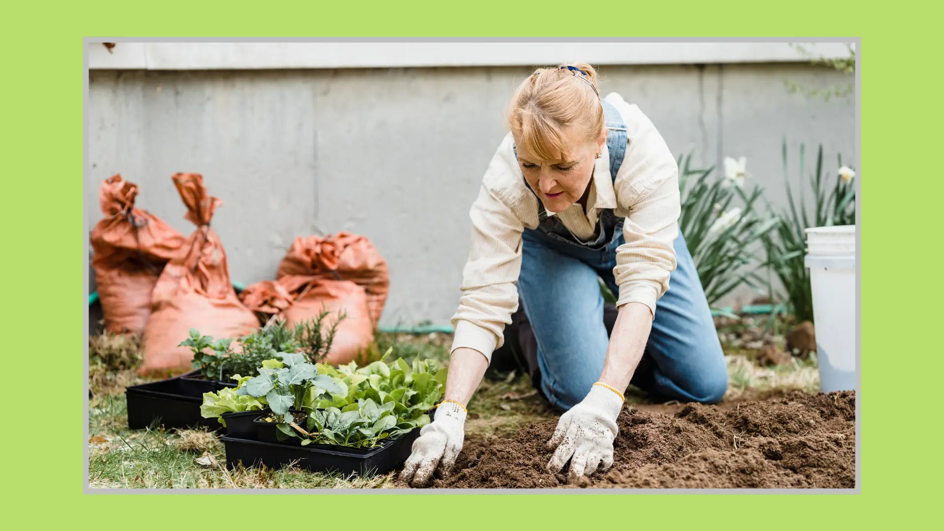 York_Region_2025_backyard_composter_encourage_citizens_compose_soil_for_planting